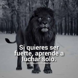 Meet your Posher, Miguel